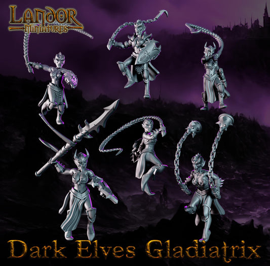 Dark elves Gladiatrix, Modular Dark Elven miniatures by Landor Miniatures! Dark Elves for Fantasy Wargames