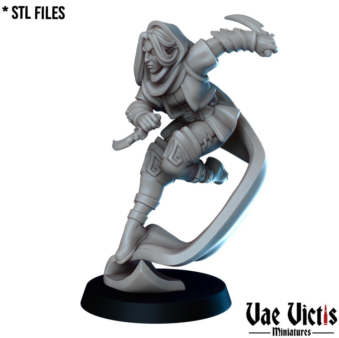 The Thieves Guild, Adventurers and Mercenaries by Vae Victis, perfect for Fantasy Wargames and Tabletop RPGs