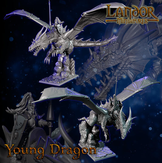Hero on Young Dragon, Modular High Elven miniatures by Landor Miniatures! High Elves for Fantasy Wargames