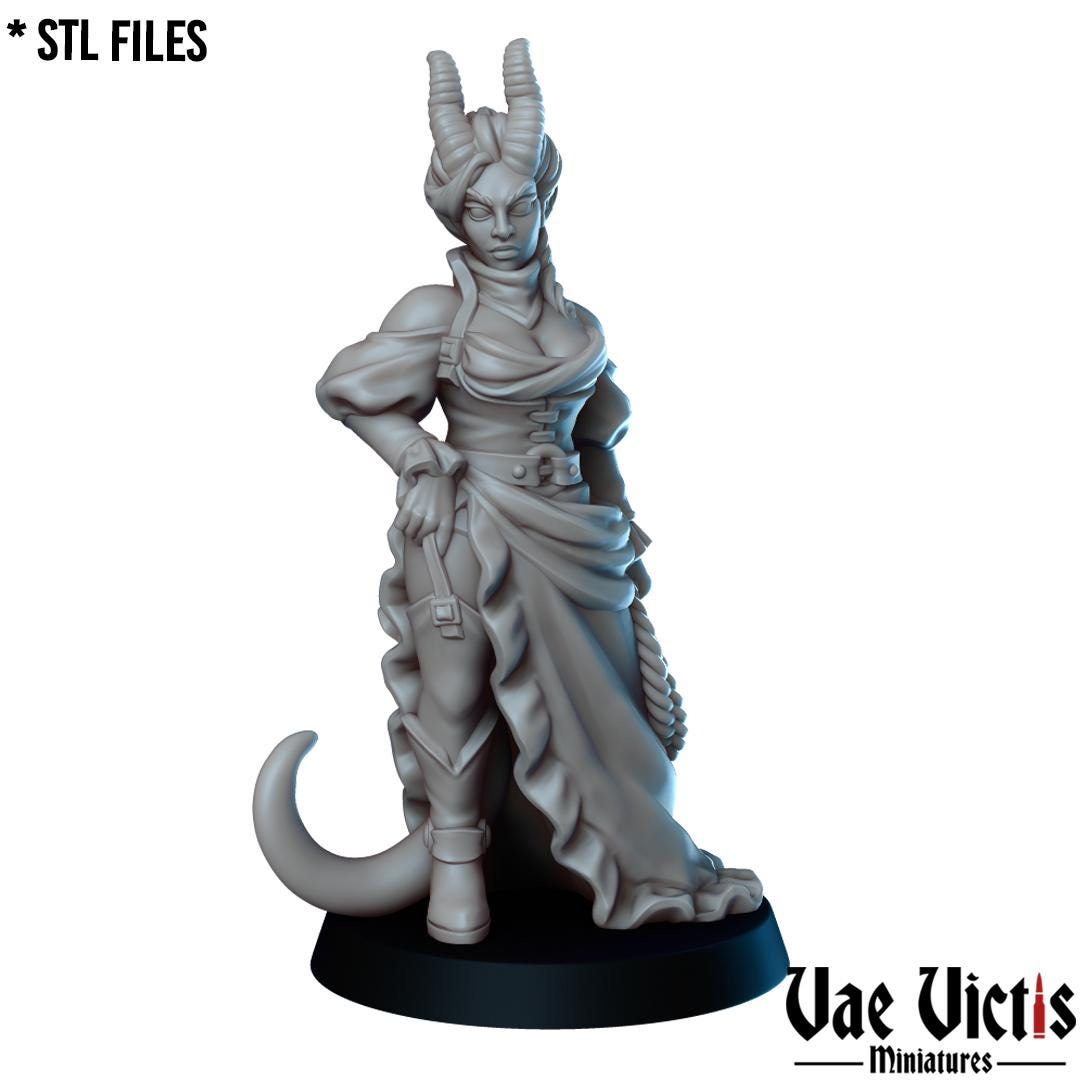 Western Fantasy, Adventurers and Mercenaries by Vae Victis, perfect for Fantasy Wargames and Tabletop RPGs