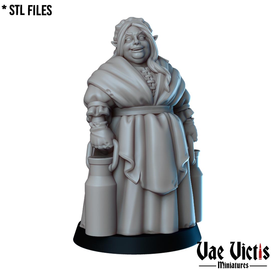 The Townfolks, Adventurers, Civilians and Mercenaries by Vae Victis, perfect for Fantasy Wargames and Tabletop RPGs