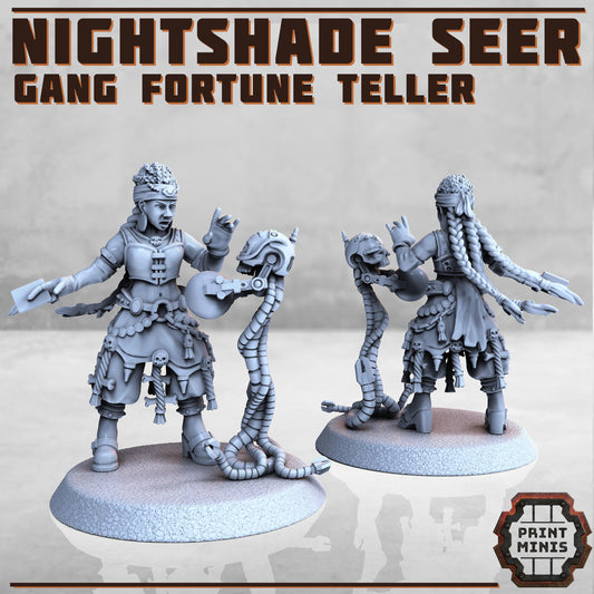 Poison Mistress + Seer -  Sci-Fi Grimdark City Skirmish Warfare Female Mercenaries by Print Minis