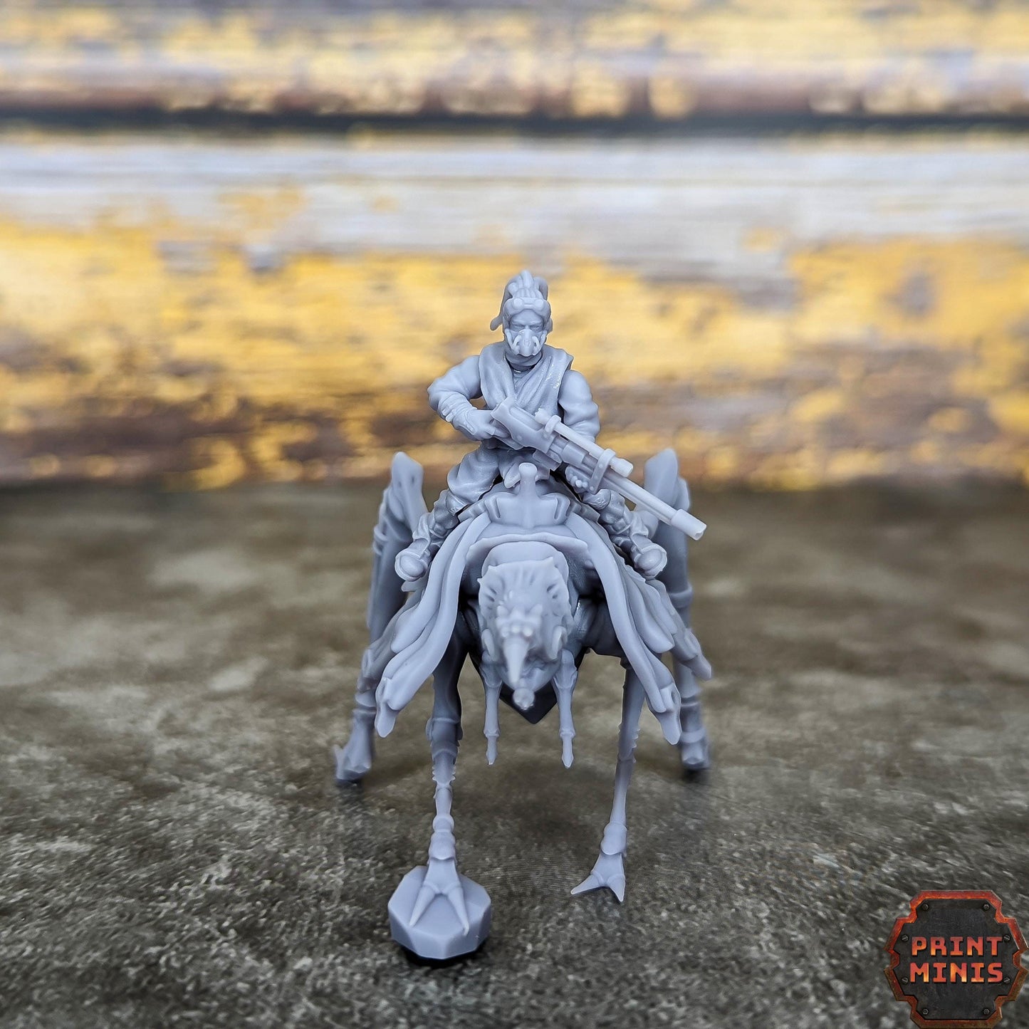 Erroish Desert Riders - Erroish People -  Sci-Fi Grimdark Mercenaries by Print Minis
