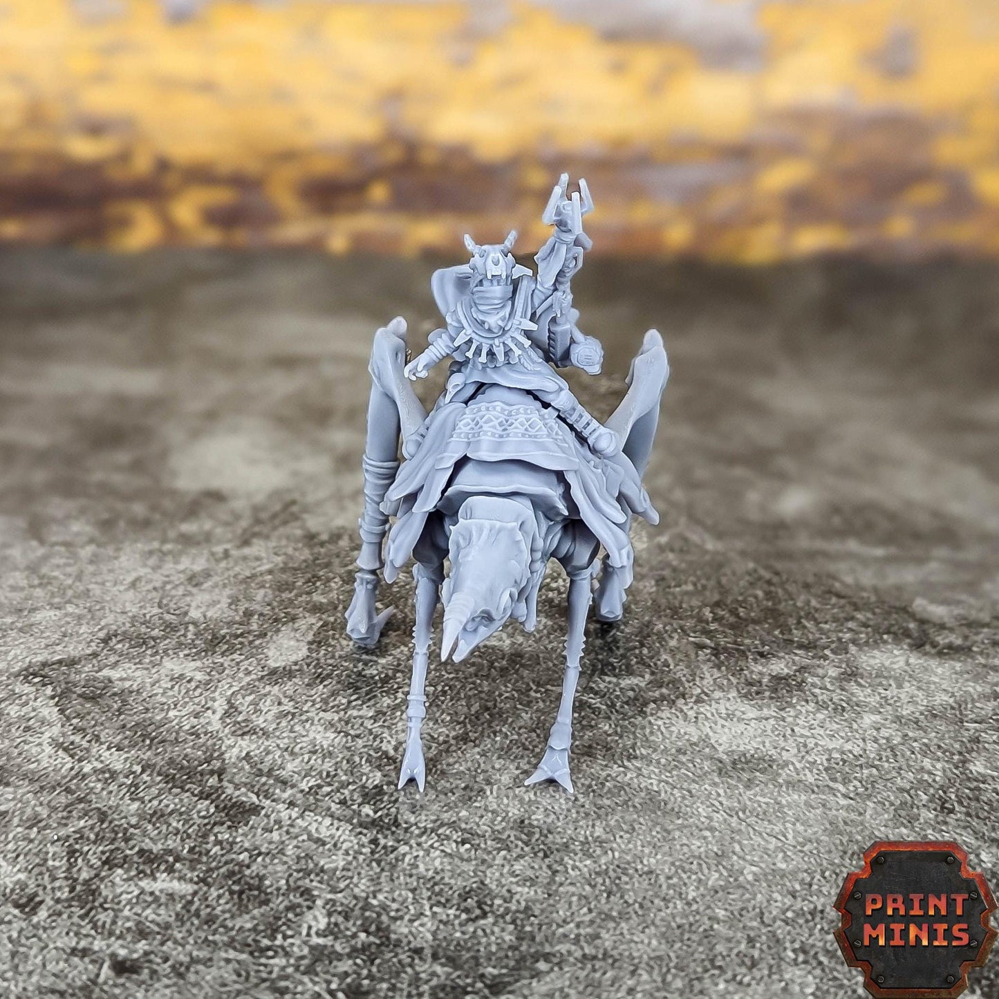 Weather Shaman - Erroish People -  Sci-Fi Grimdark Mercenaries by Print Minis