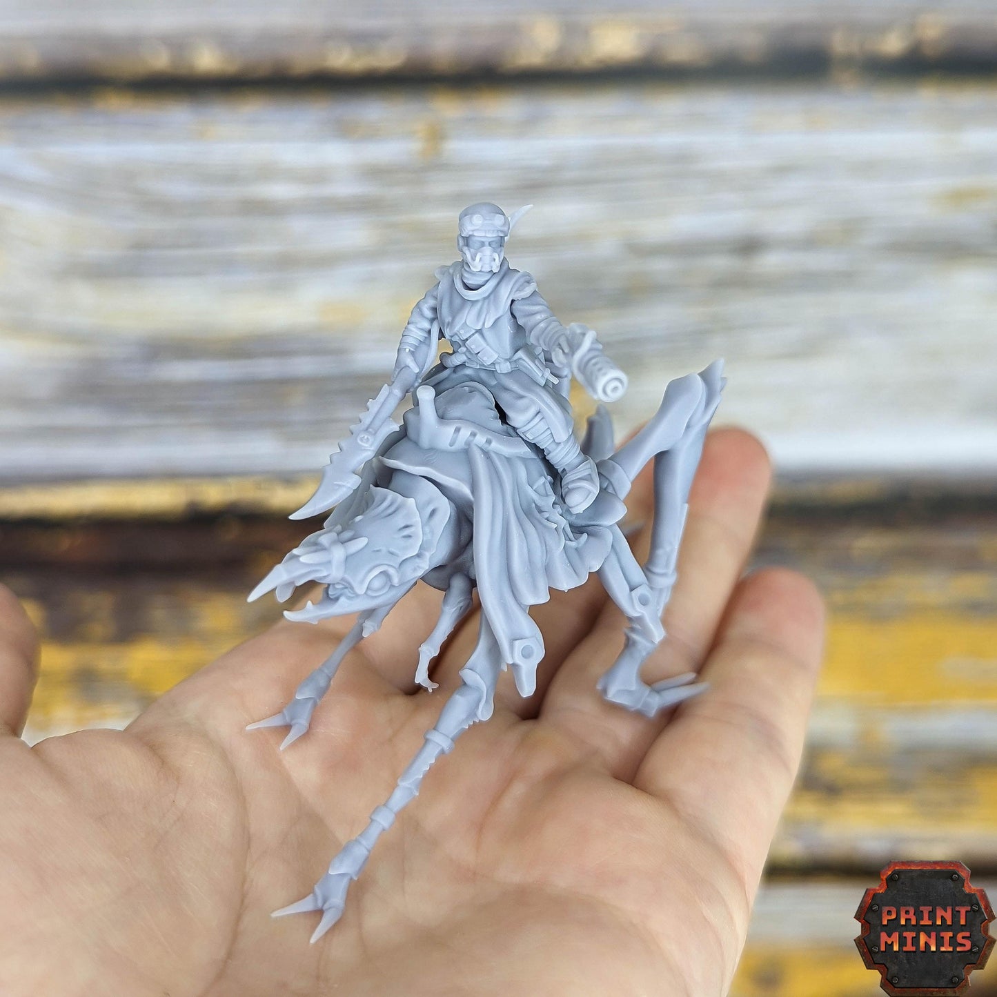 Erroish Desert Riders - Erroish People - Sci-Fi Grimdark Mercenaries