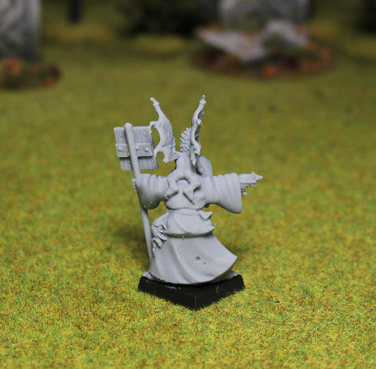 Corrupt Warlock, Fantasy Skirmish Miniatures by MoM Miniatures, perfect for Fantasy Wargames and RPGs