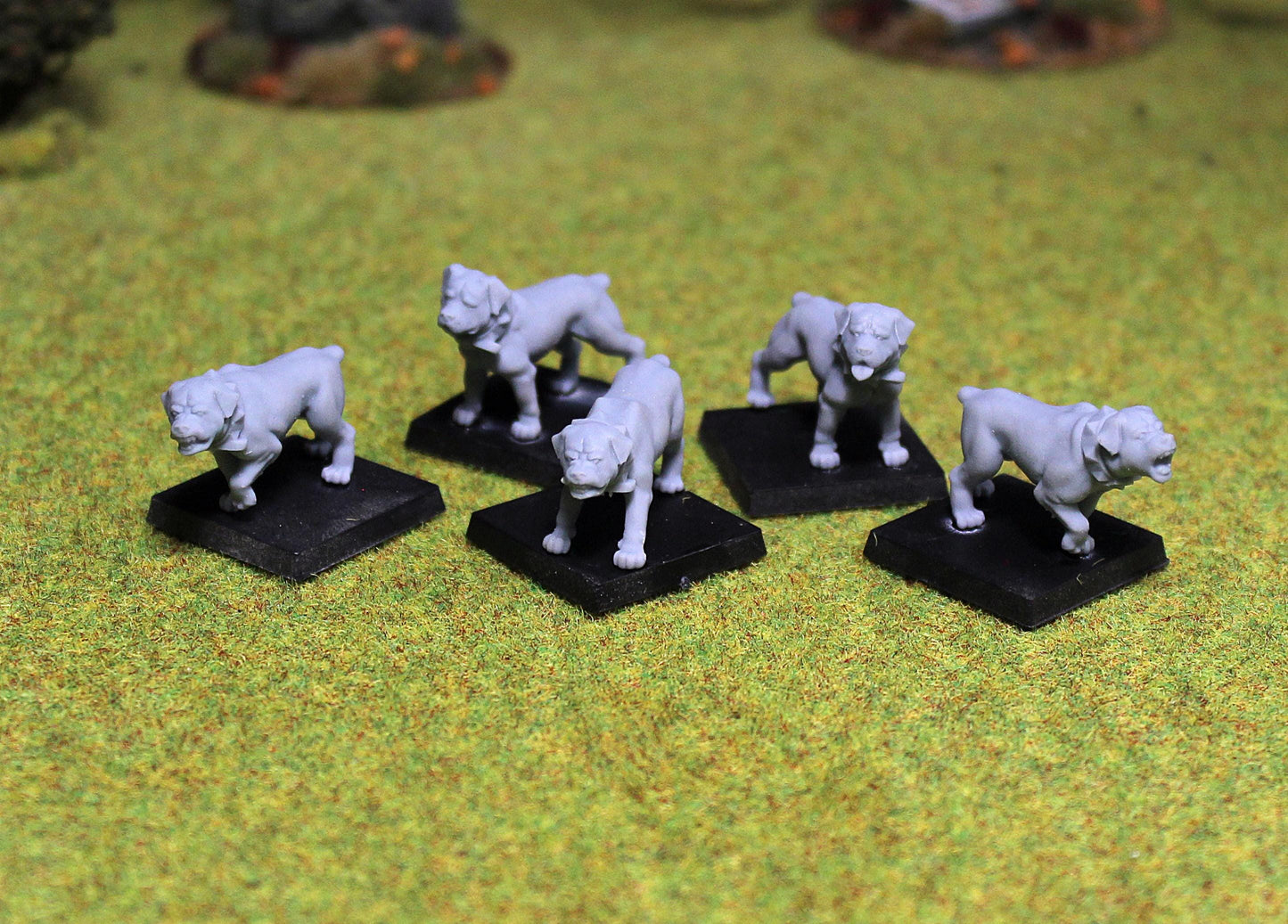 Rottweiler Dogs, Fantasy Skirmish Miniatures by MoM Miniatures, perfect for Fantasy Wargames and RPGs