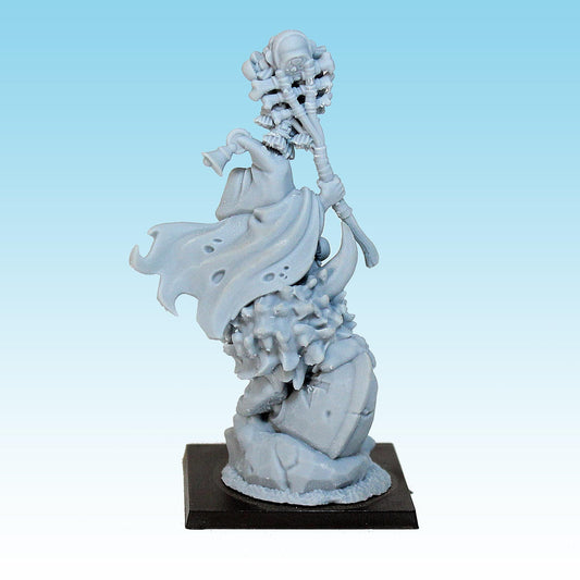 Goblin Shaman on Nunu, Fantasy Skirmish Miniatures by MoM Miniatures, perfect for Fantasy Wargames and RPGs