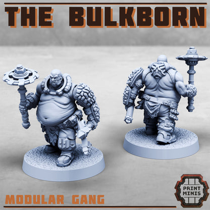 The Bulkborn Gang - Sci-Fi Grimdark Mercenaries by Print Minis - photo 2