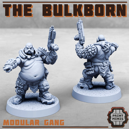 The Bulkborn Gang - Sci-Fi Grimdark Mercenaries by Print Minis - photo 5