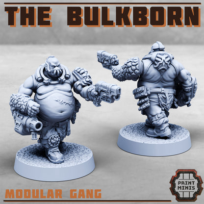 The Bulkborn Gang - Sci-Fi Grimdark Mercenaries by Print Minis - photo 7