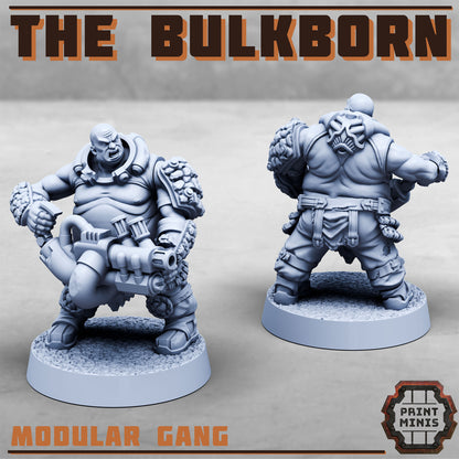 The Bulkborn Gang - Sci-Fi Grimdark Mercenaries by Print Minis - photo 8