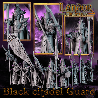 Dark Elf Black Citadel Guard, Modular Dark Elven miniatures by Landor Miniatures! Dark Elves for Fantasy Wargames