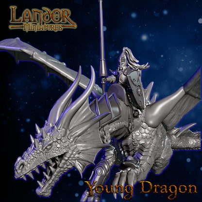 Hero on Young Dragon, Modular High Elven miniatures by Landor Miniatures! High Elves for Fantasy Wargames