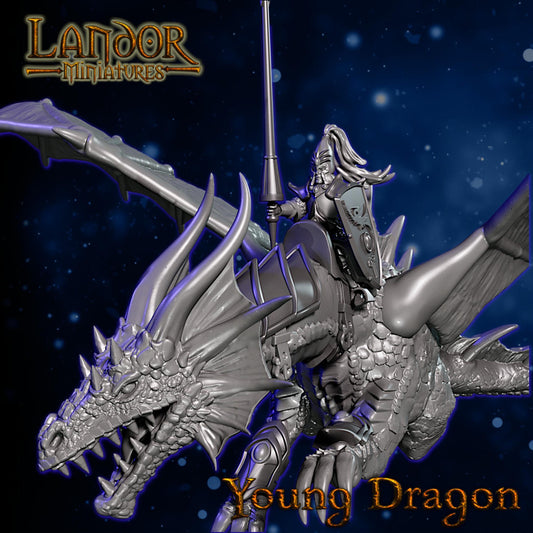 Hero on Young Dragon, Modular High Elven miniatures by Landor Miniatures! High Elves for Fantasy Wargames