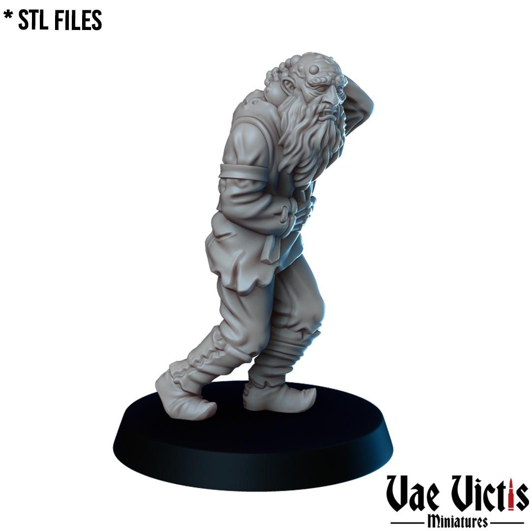 The Plague, Adventurers and Mercenaries by Vae Victis, perfect for Fantasy Wargames and Tabletop RPGs