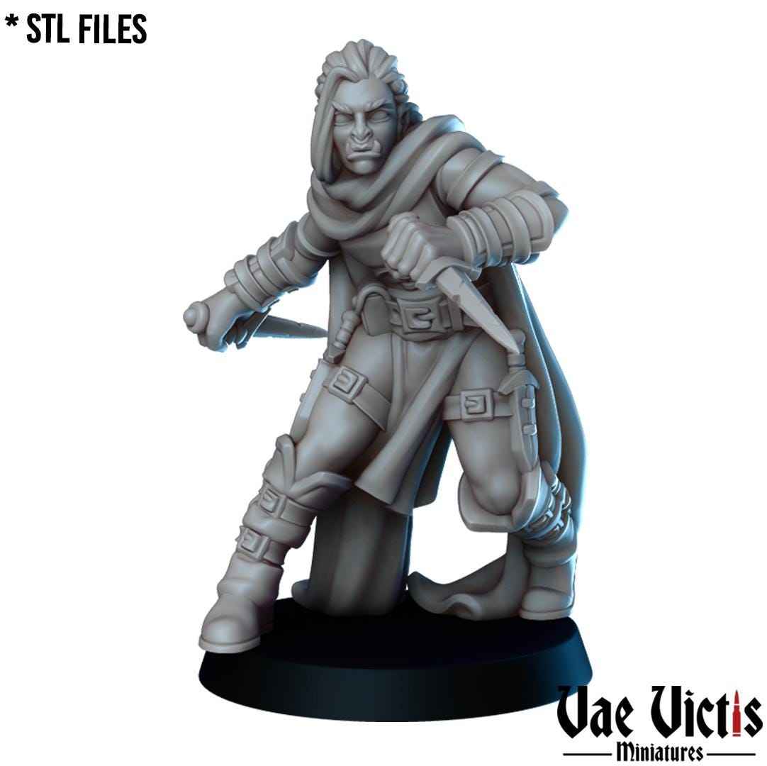 The Thieves Guild, Adventurers and Mercenaries by Vae Victis, perfect for Fantasy Wargames and Tabletop RPGs