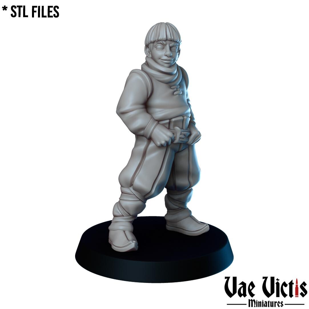 The Townfolks, Adventurers, Civilians and Mercenaries by Vae Victis, perfect for Fantasy Wargames and Tabletop RPGs