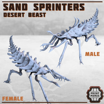Erroish Beast Trainer and Sand Sprinters -  Sci-Fi Grimdark Mercenaries by Print Minis