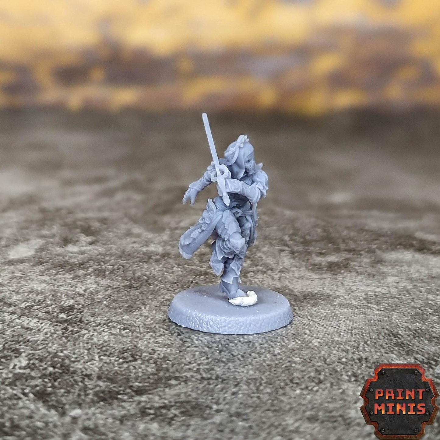 Noble Bodyguard -  Sci-Fi Grimdark Mercenaries by Print Minis