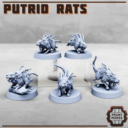 Putrid Mutated Rats x5 -  Sci-Fi Grimdark Splicers by Print Minis