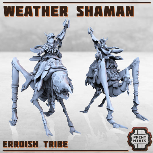 Weather Shaman - Erroish People -  Sci-Fi Grimdark Mercenaries by Print Minis