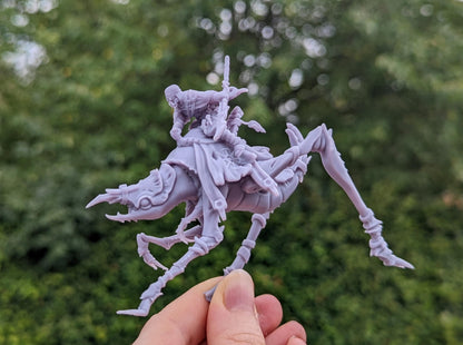 Erroish Chief - Desert Rider - Erroish People -  Sci-Fi Grimdark Mercenaries by Print Minis