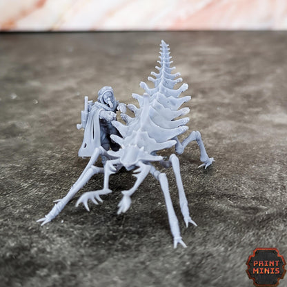 Erroish Beast Trainer and Sand Sprinters -  Sci-Fi Grimdark Mercenaries by Print Minis