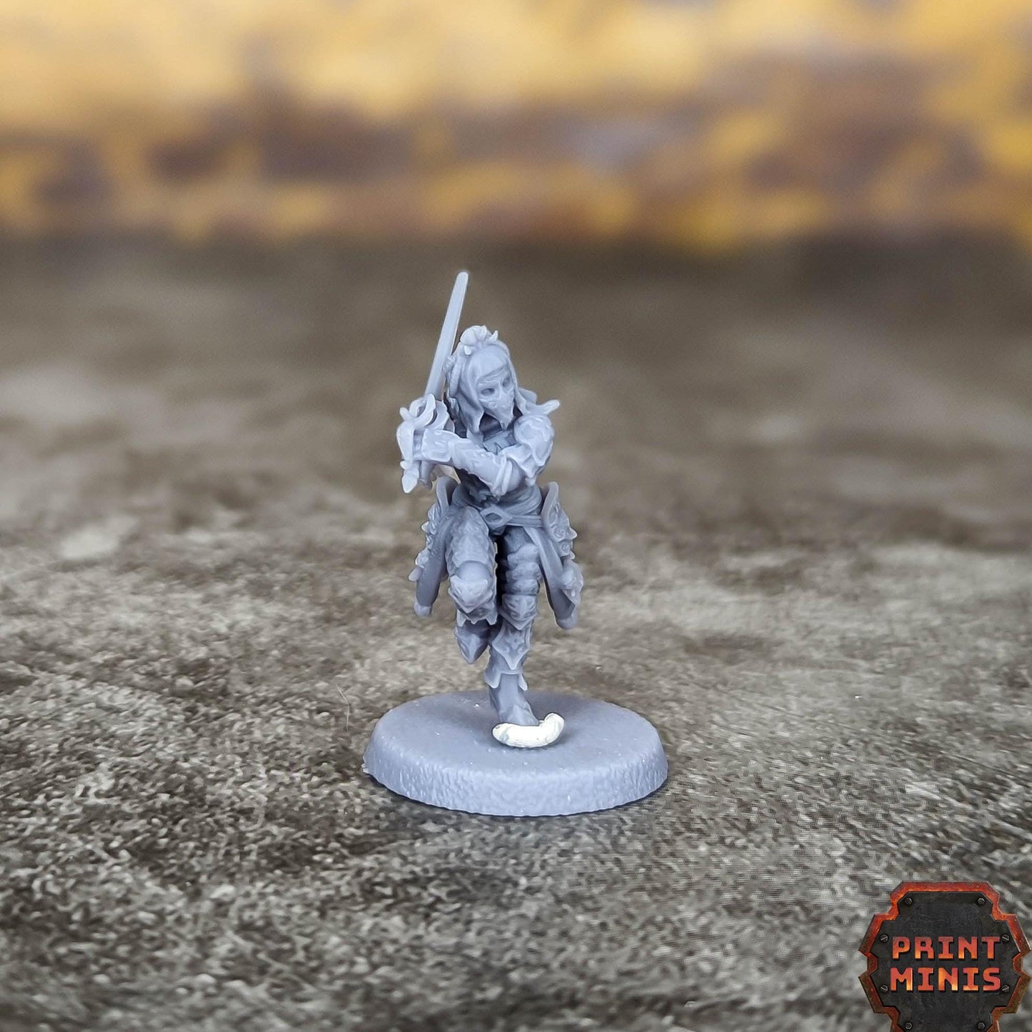 Noble Bodyguard -  Sci-Fi Grimdark Mercenaries by Print Minis