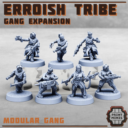 Erroish Tribe - Gang Expansion 2 -  Sci-Fi Grimdark Mercenaries by Print Minis
