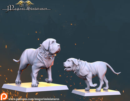 Witch Hunter Warband, Fantasy Skirmish Miniatures by Magori Miniatures, perfect for Fantasy Wargames and RPGs