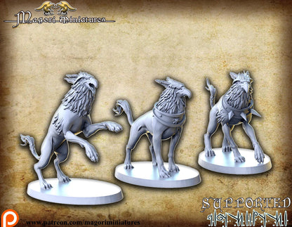 Griffhound pack, Fantasy Skirmish Miniatures by Magori Miniatures, perfect for Fantasy Wargames and RPGs