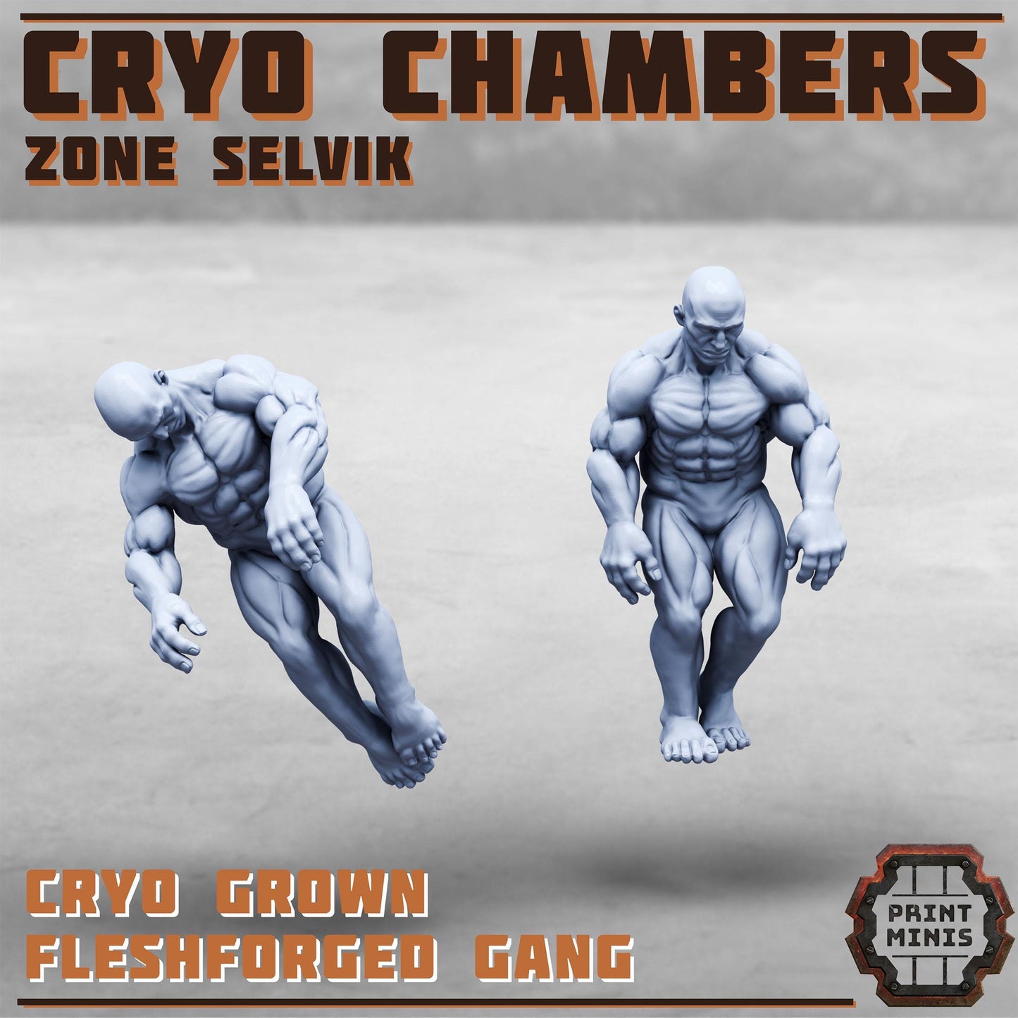 Cryo Chambers - Zone Selvik - Zone Selvik - Sci-Fi Space Industrial Terrain by Print Minis