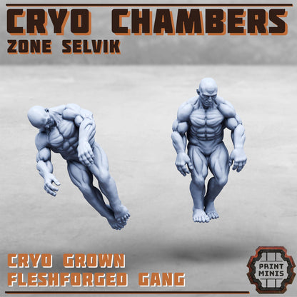 Cryo Chambers - Zone Selvik - Zone Selvik - Sci-Fi Space Industrial Terrain by Print Minis
