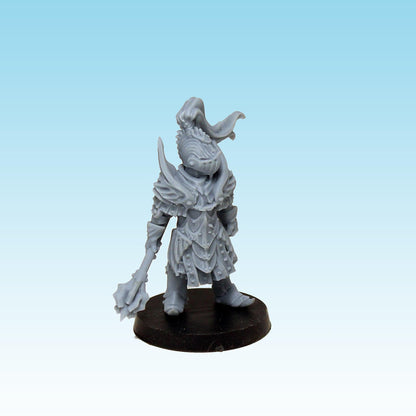 Dragon Knight, Fantasy Skirmish Miniatures by MoM Miniatures, perfect for Fantasy Wargames and RPGs
