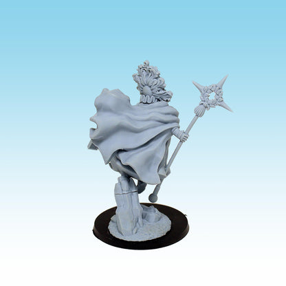 The Pious, Fantasy Skirmish Miniatures by MoM Miniatures, perfect for Fantasy Wargames and RPGs