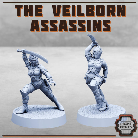 Veilborn Assassins - Sci-Fi Grimdark Mercenaries