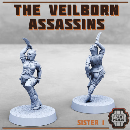 Veilborn Assassins - Sci-Fi Grimdark Mercenaries