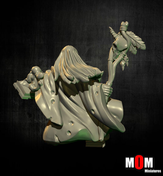 Necromancer, Fantasy Skirmish Miniatures by MoM Miniatures, perfect for Fantasy Wargames and RPGs