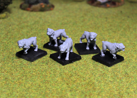 Rottweiler Dogs, Fantasy Skirmish Miniatures by MoM Miniatures, perfect for Fantasy Wargames and RPGs