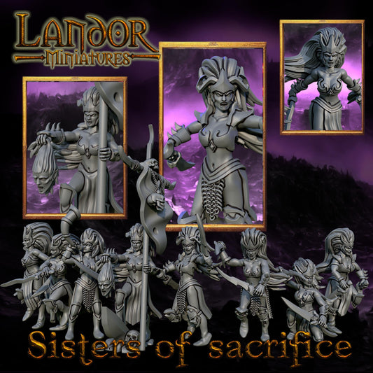 Sisters of Sacrifice, Modular Dark Elven miniatures by Landor Miniatures! Dark Elves for Fantasy Wargames