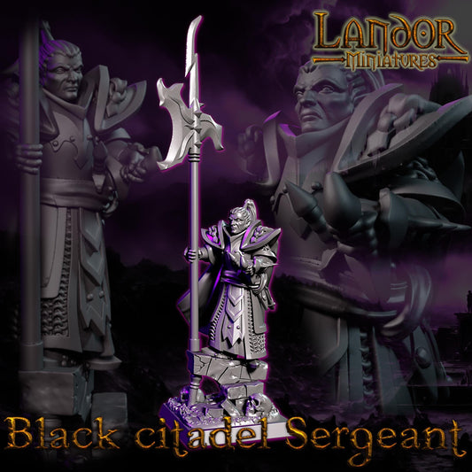 Black Citadel Sergeant, Modular Dark Elven miniatures by Landor Miniatures! Dark Elves for Fantasy Wargames
