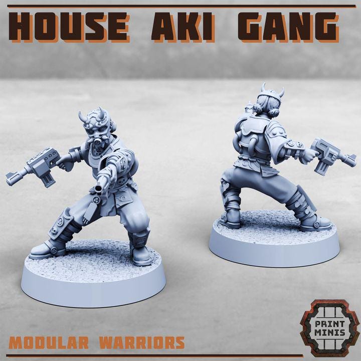 House Aki Gang