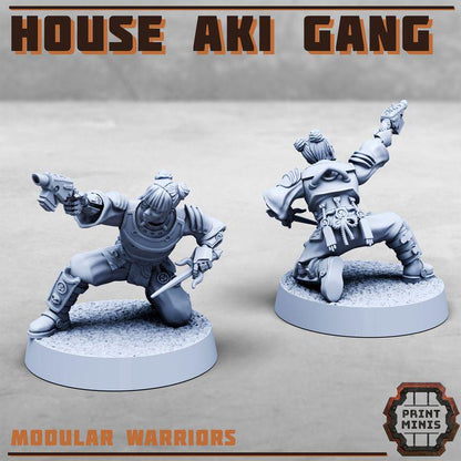 House Aki Gang