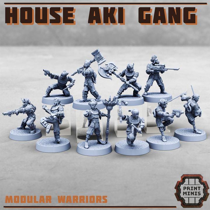House Aki Gang