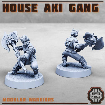 House Aki Gang