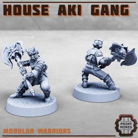 House Aki Gang