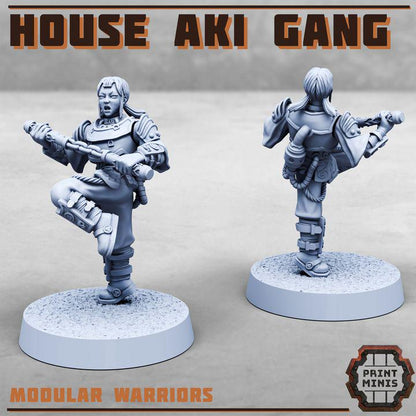 House Aki Gang