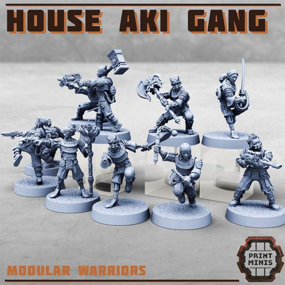 House Aki Gang