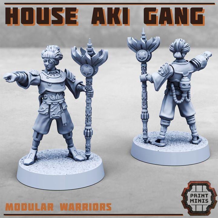 House Aki Gang
